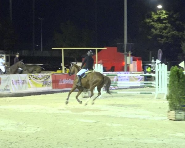 Reitturnier Balsthal 2020