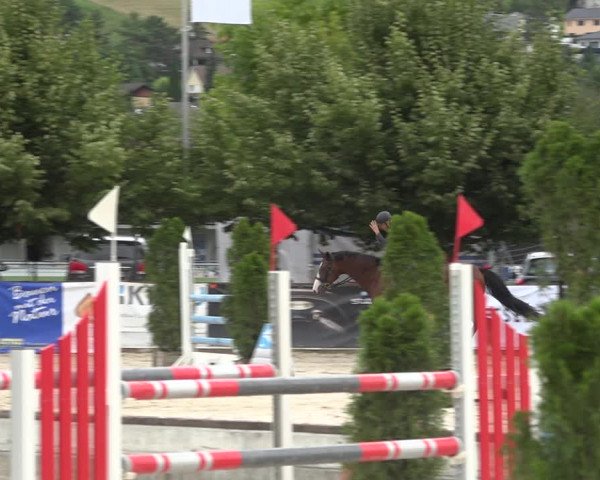 Reitturnier Balsthal 2020