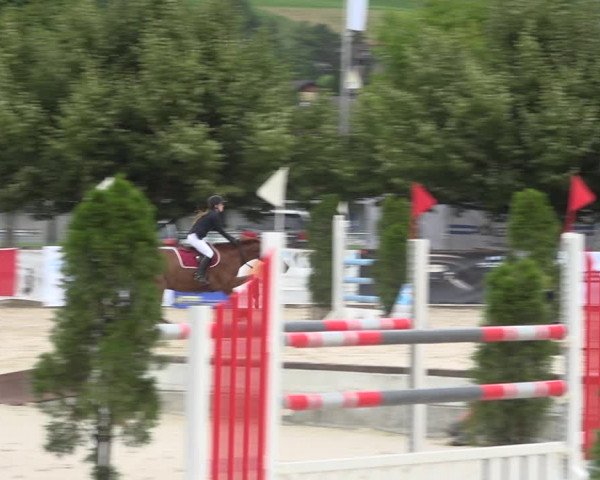 Reitturnier Balsthal 2020
