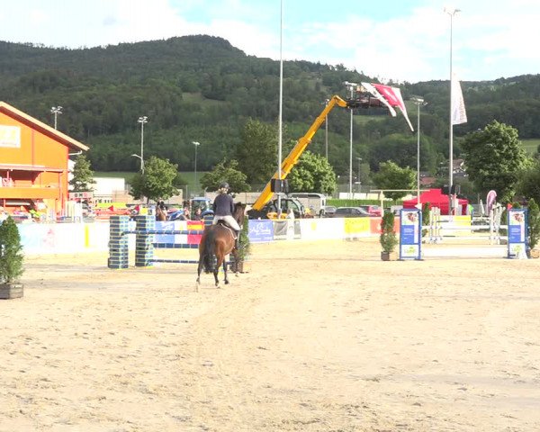 Reitturnier Balsthal 2020