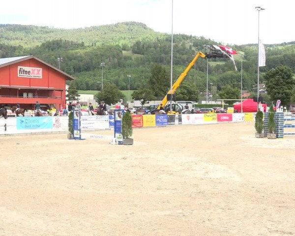 Reitturnier Balsthal 2020
