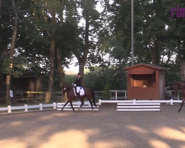Reitturnier Heiden 2020