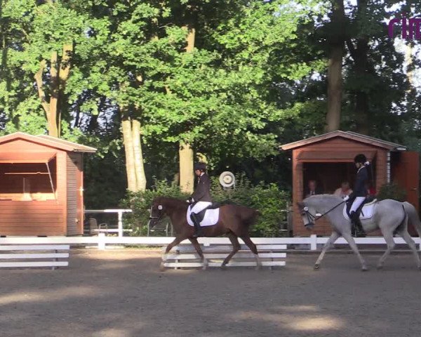 Reitturnier Heiden 2020