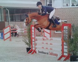 jumper La Coco 5 (Westphalian, 2010, from Light On OLD)