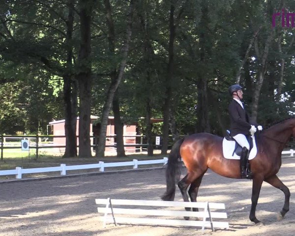 Reitturnier Heiden 2020