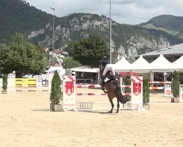 Reitturnier Balsthal 2020