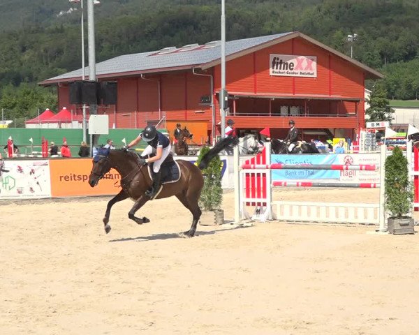 Reitturnier Balsthal 2020