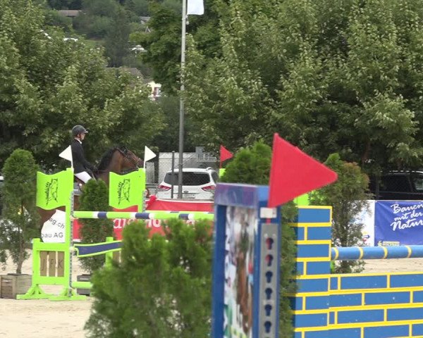 Reitturnier Balsthal 2020