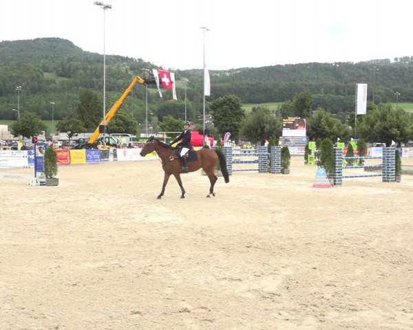 Reitturnier Balsthal 2020