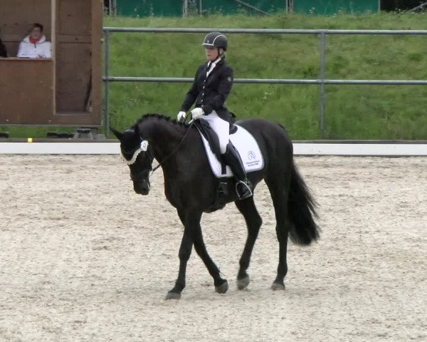 Dressurtage Werdenberg 2021
