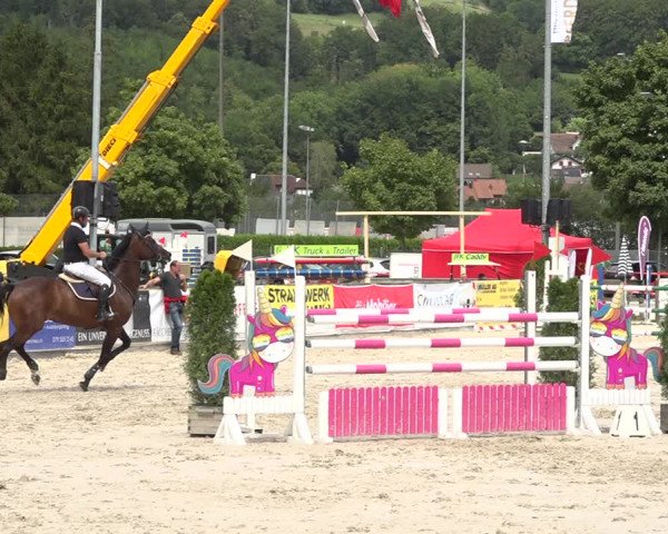Reitturnier Balsthal 2020