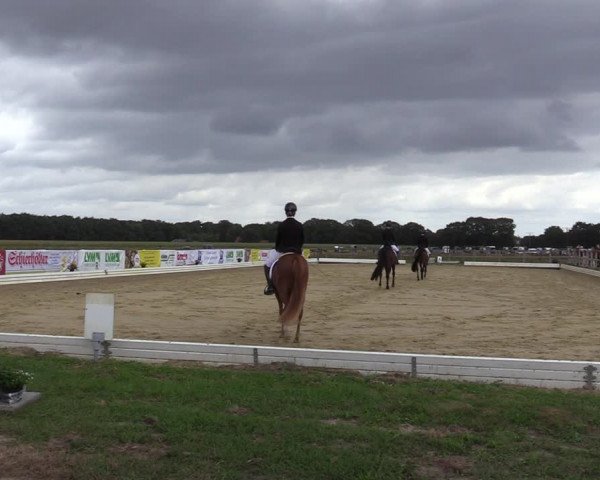 Reitturnier Ostbevern 2020