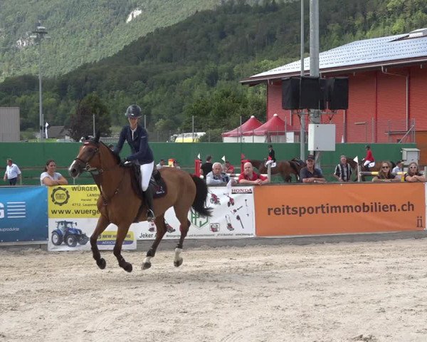 Reitturnier Balsthal 2020