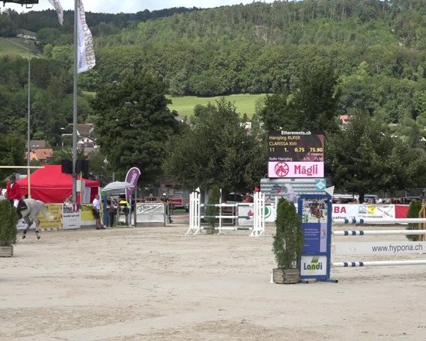 Reitturnier Balsthal 2020