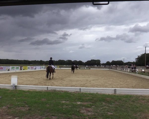 Reitturnier Ostbevern 2020