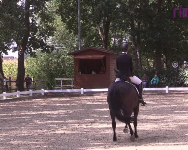 Reitturnier Heiden 2020