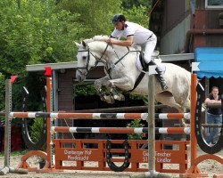 broodmare Cindy 917 (Rhinelander, 2006, from Cassone)