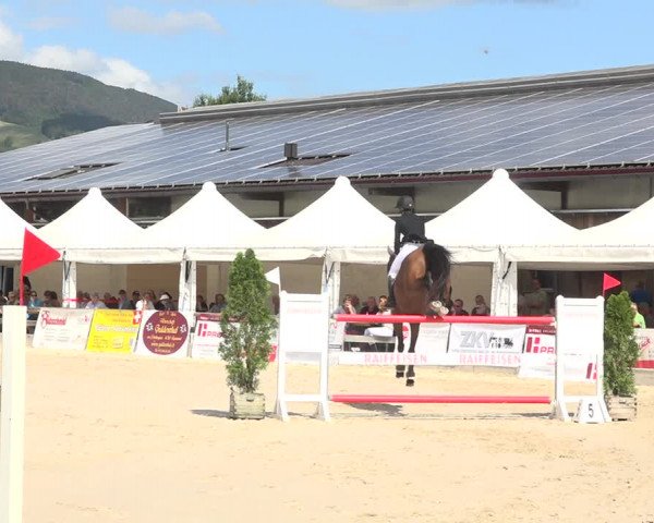 Reitturnier Balsthal 2020
