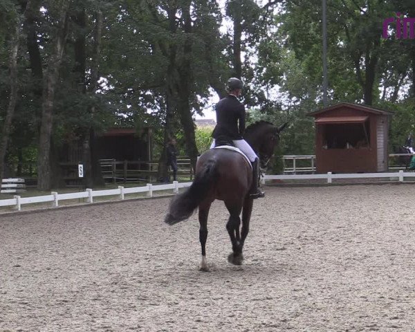 Reitturnier Heiden 2020