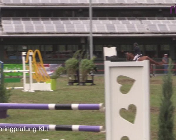 Reitturnier Heiden 2020