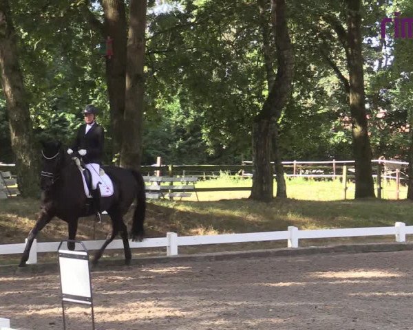 Reitturnier Heiden 2020