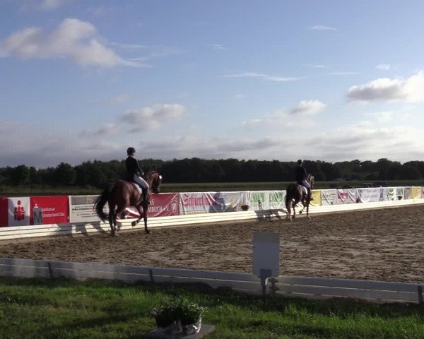 Reitturnier Ostbevern 2020