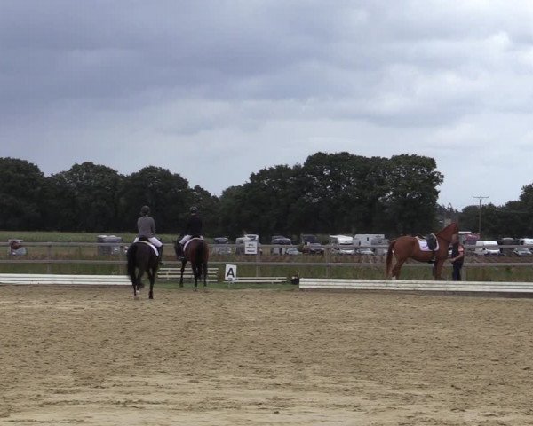 Reitturnier Ostbevern 2020