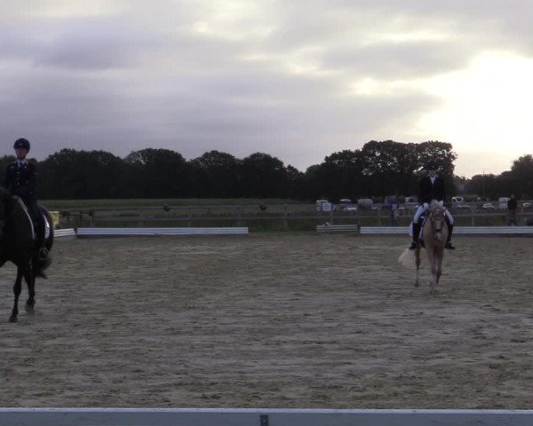Reitturnier Ostbevern 2020