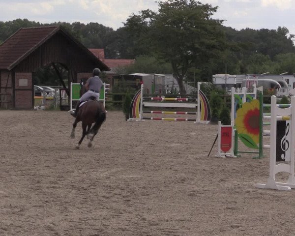 Reitturnier Münster-Nienberge 2020