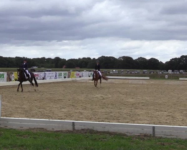 Reitturnier Ostbevern 2020