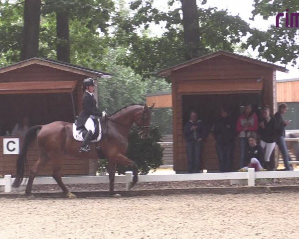 Reitturnier Heiden 2020