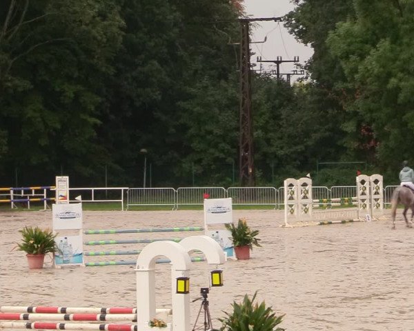 Reitturnier Prussendorf 2020