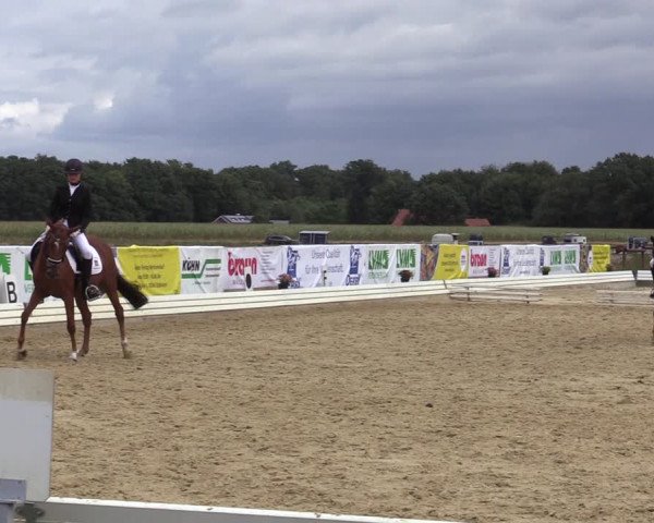 Reitturnier Ostbevern 2020