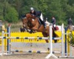 Cavallo da salto Amantus As (Westfale, 2001, di Amantus)
