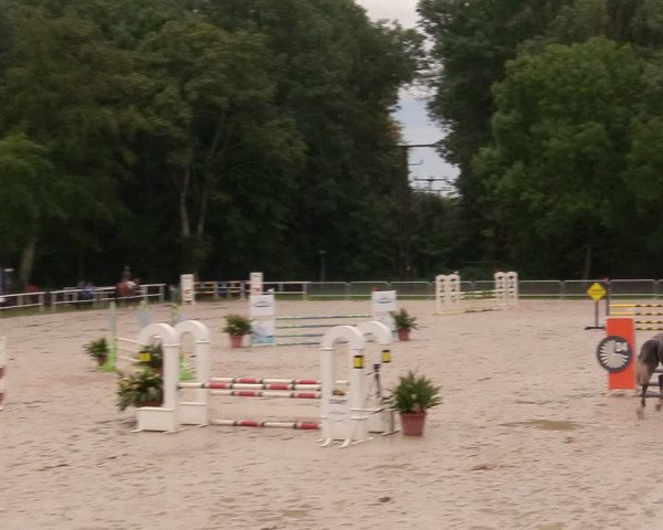 Reitturnier Prussendorf 2020