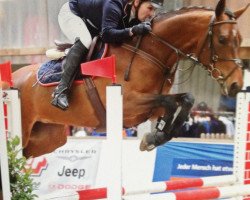 jumper Pepsi Line (Hanoverian, 2011, from Perigueux)