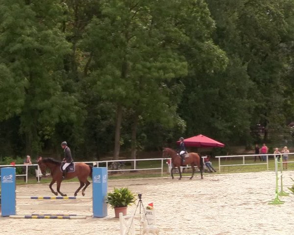 Reitturnier Prussendorf 2020
