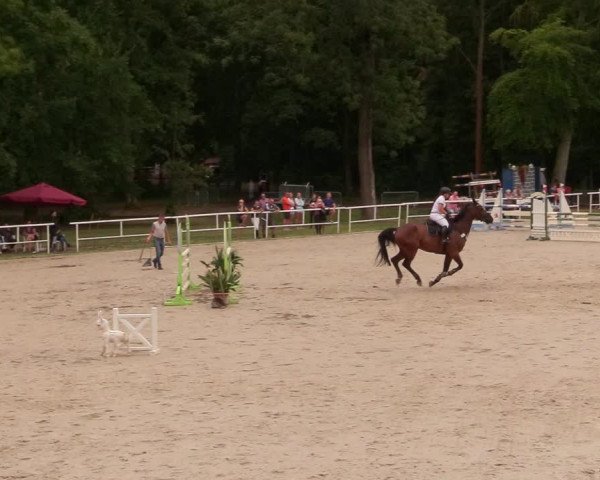 Reitturnier Prussendorf 2020