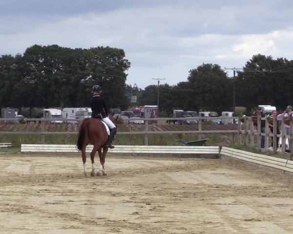 Reitturnier Ostbevern 2020