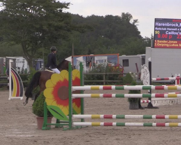 Reitturnier Münster-Nienberge 2020
