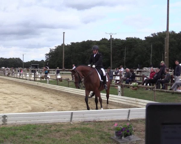 Reitturnier Ostbevern 2020