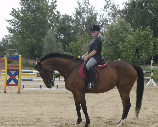 broodmare Conny (Saxony-Anhaltiner, 1996, from Cannonball)