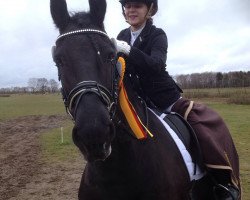 dressage horse Wikke fan't Artland (Friese, 2007, from Haitse 425)
