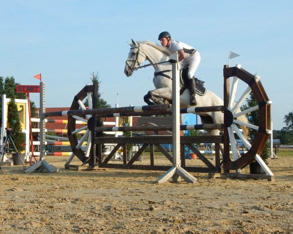 broodmare Larissa 798 (Westphalian, 2006, from Lacordos)