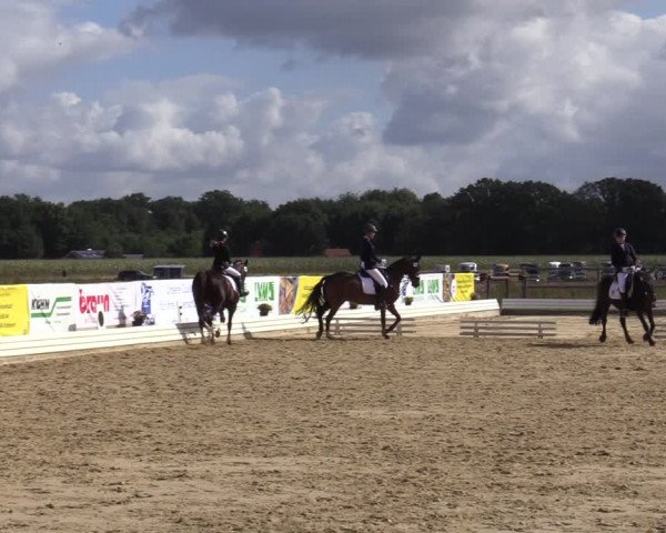Reitturnier Ostbevern 2020