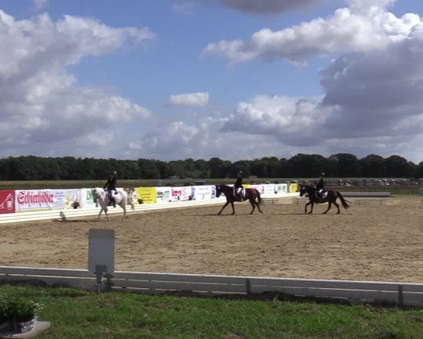 Reitturnier Ostbevern 2020