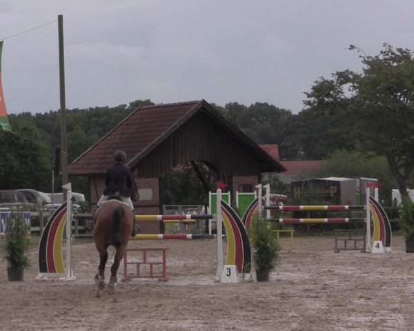 Reitturnier Münster-Nienberge 2020
