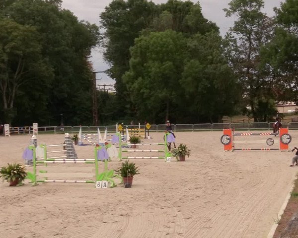 Reitturnier Prussendorf 2020