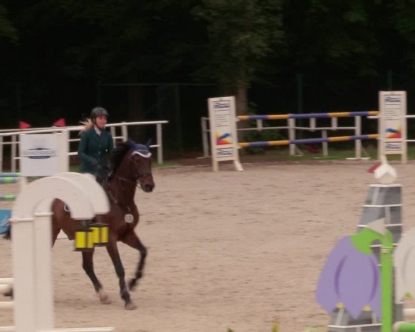 Reitturnier Prussendorf 2020