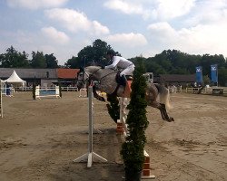 broodmare Clair (Westphalian, 2008, from Colbert GTI)